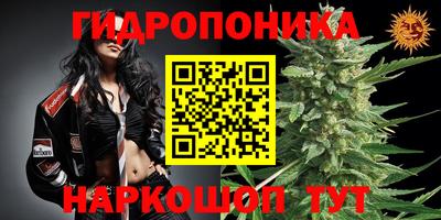 прущая мука Аргун